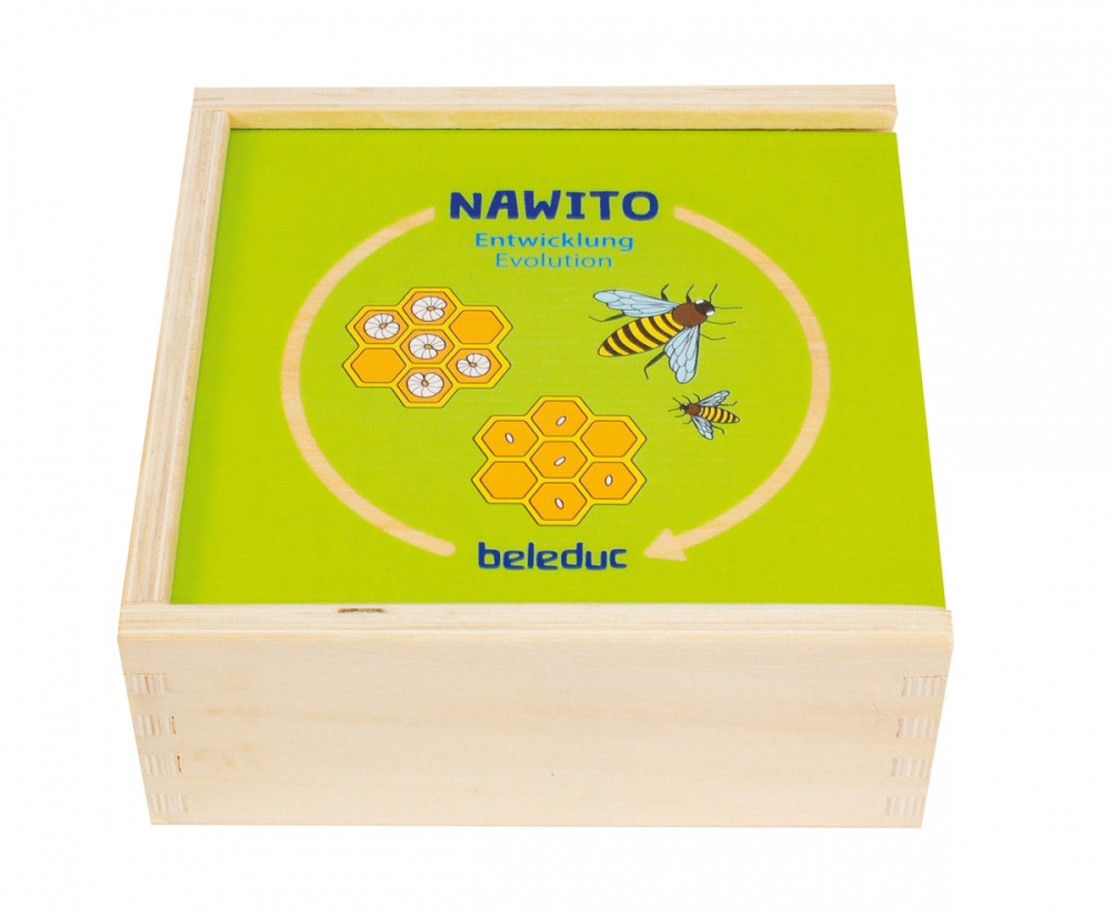 Wooden logic game with puzzle, Beleduc, Nawito, Development, 30 pieces