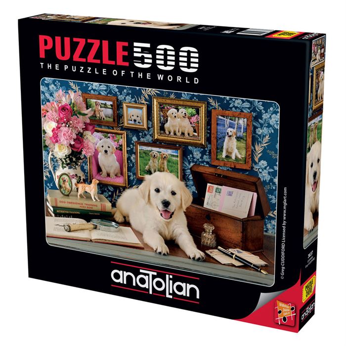 Puzzle, Anatolian, Labrador, 500 pieces
