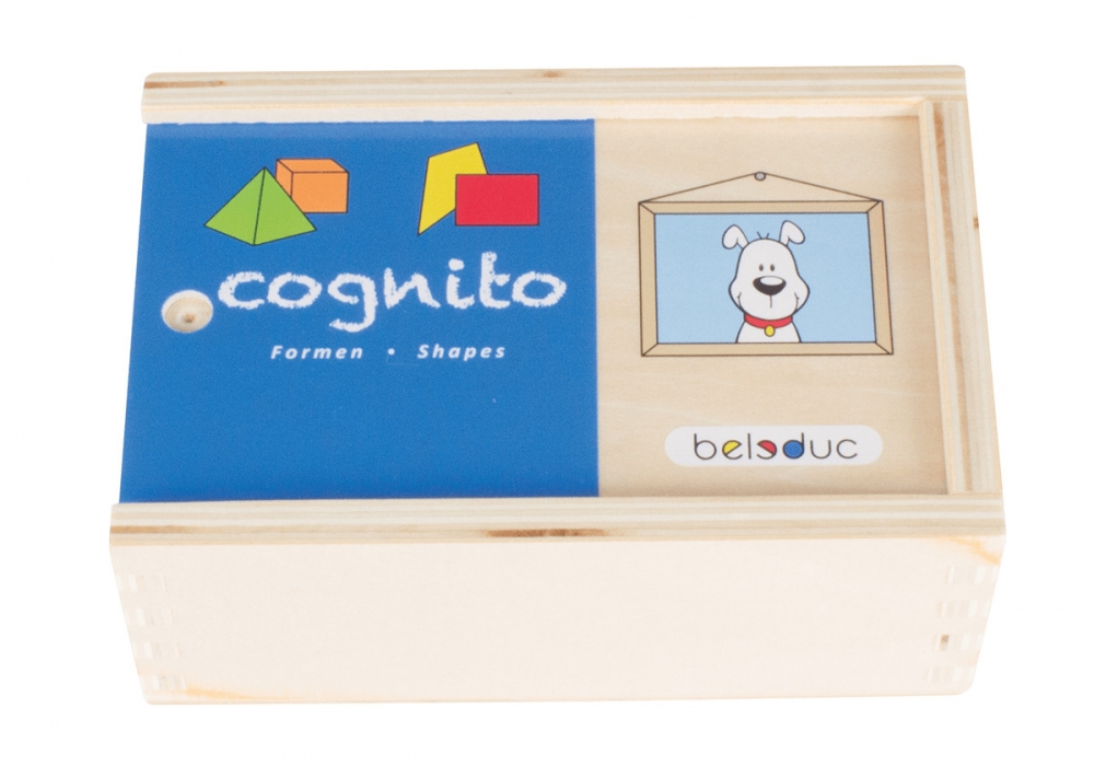 Wooden matching game, Beleduc, Cognito, Shapes, 20 pieces