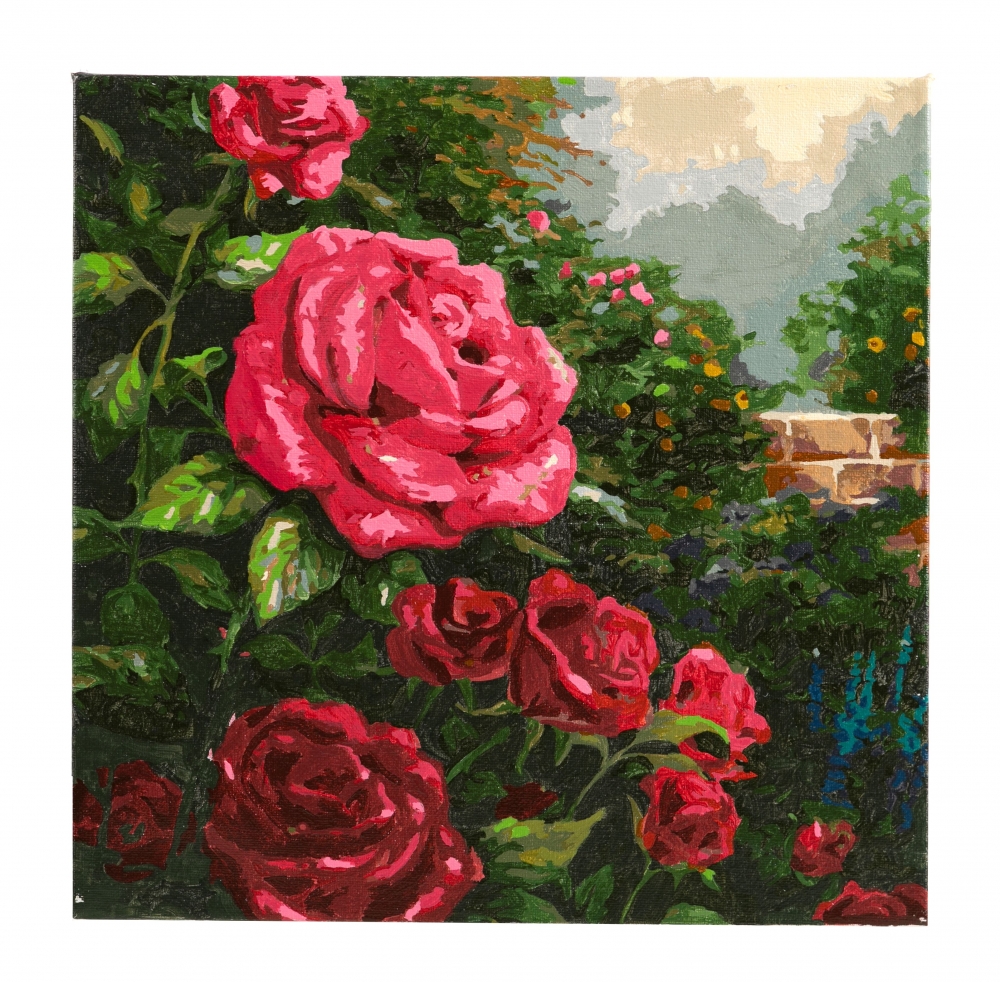 Creative kit, Craft Buddy, Paint by number, Red rose, 30 x 30 cm