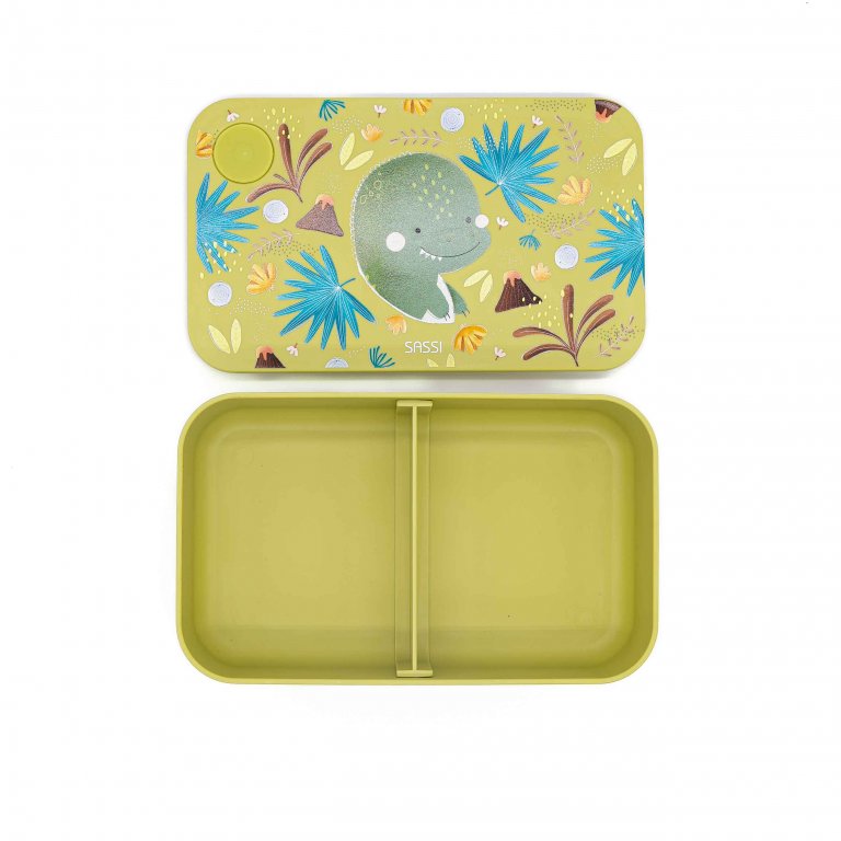 Lunch box, Sassi, Dinosaur