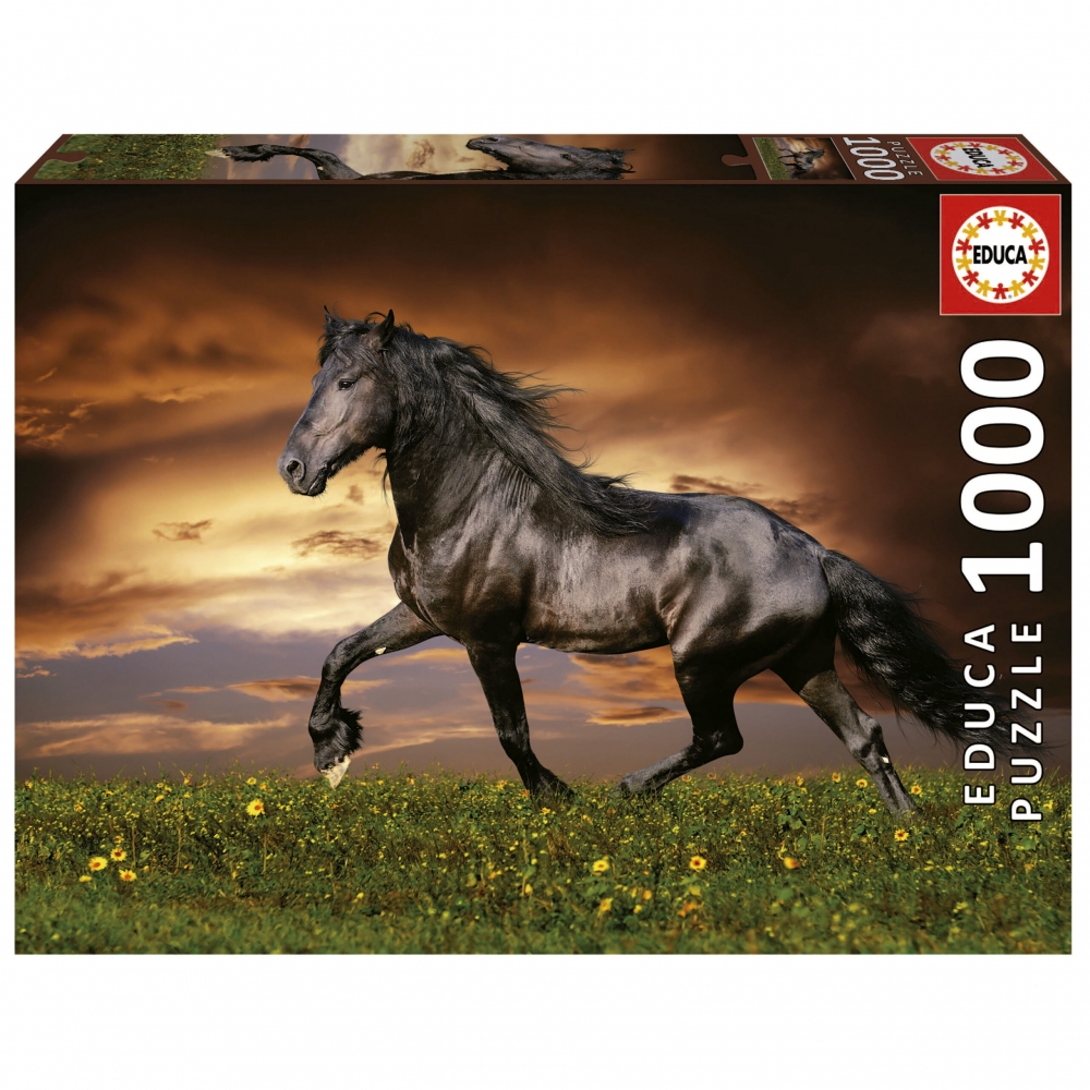 Puzzle Educa 1000 Pieces - Calul in Trot