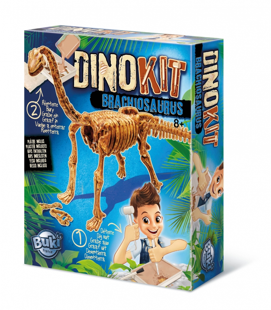 Kit de cercetare, Buki France, Dinozaur de asamblat, Brachiosaurus